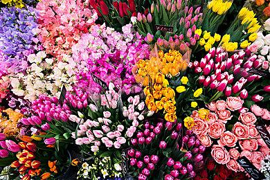 免费星战游戏《星球大战：猎人》再次延期