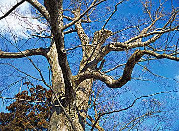 《罪恶装备：STRIVE》3v3模式宣布B测 7月26日开启