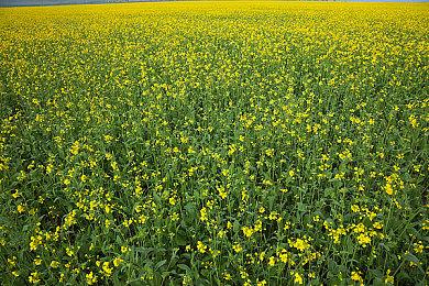 《战锤40K：暗潮》更新不断 武器升级系统现已推出